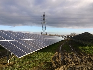 Solar farm powers 800 homes a year 