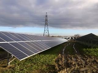 Solar farm powers 800 homes a year