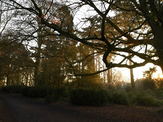 Telford's Green Spaces