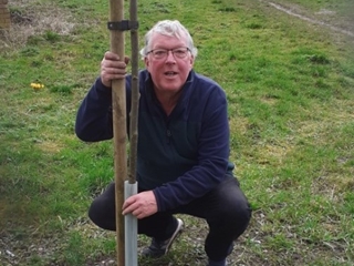 Newport Tree Project